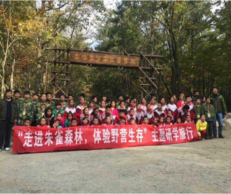 盐城旅游团选购指南：探索美丽海岸线的不二之选