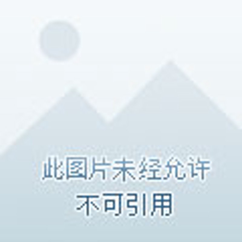 出境旅游再度升温：全球游的热情与影响