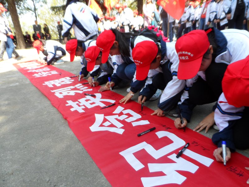 盐城旅游团最新动态：感受四季风光之美